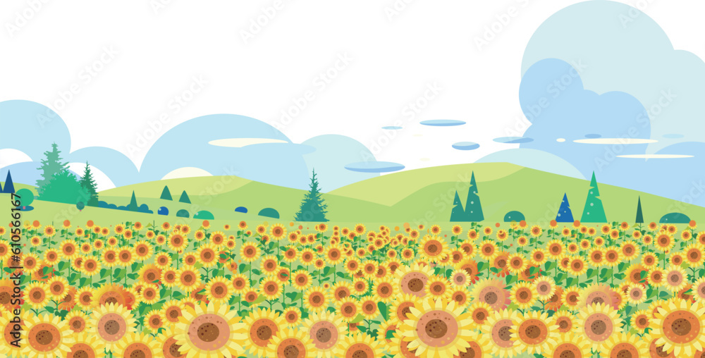 ひまわり畑に積乱雲の真夏のイメージ風景