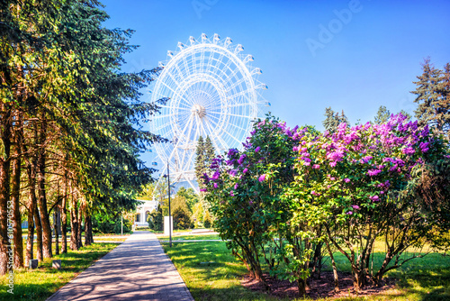 Photography Ferris wheel Sun of Moscow at VDNKh and lilac, Moscow