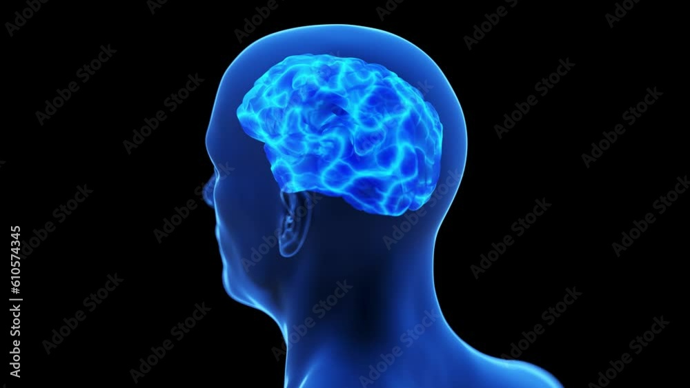 Animation of an active human brain Animation of an active human brain
