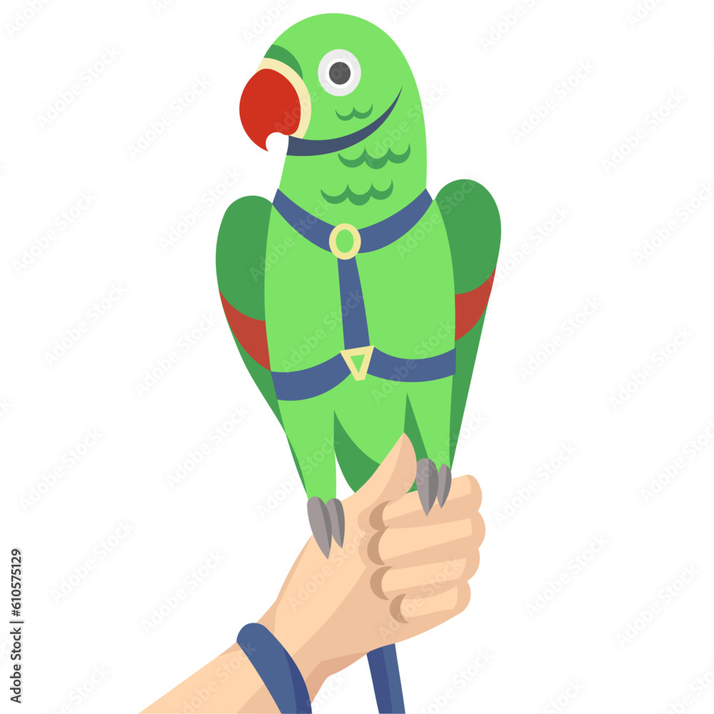 Fototapeta premium Green rose-ringed parakeet parrot; ring-necked parakeet; Indian ringneck parrot in harness and leash on human hand - vector illustration