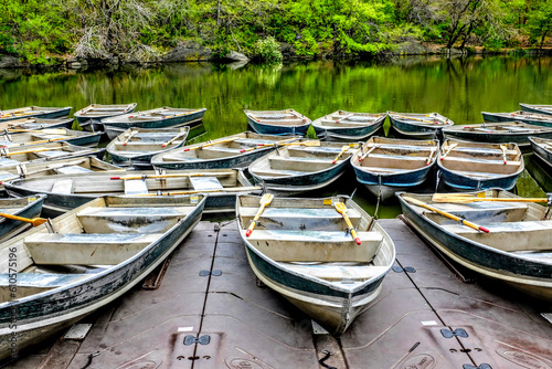 Wallpaper Mural Barca central park  Torontodigital.ca