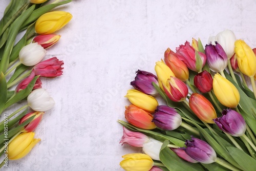 Beautiful colorful tulip flowers on white stone background  flat lay. Space for text