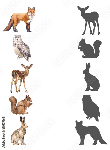 Find correct shadow. Realistic forest animals. Educational game for children. Activity  watercolor illustration. Matching game. Montessori Method