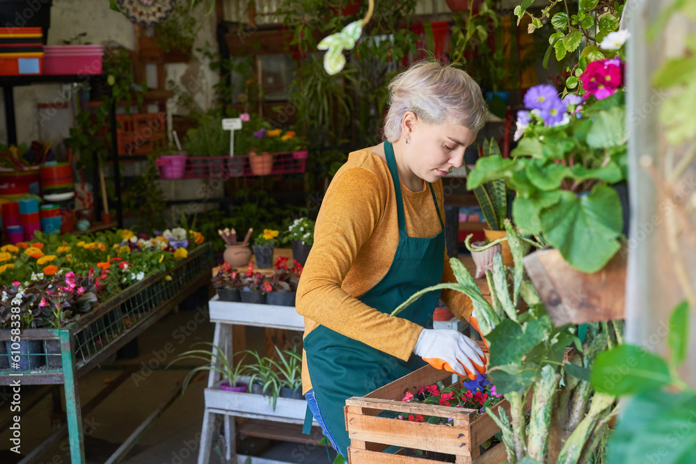 Gärtnerin oder Floristin bei der Pflanzenpflege Stock Photo Adobe Stock