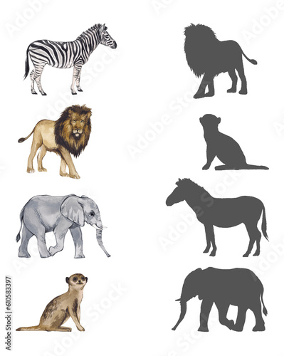 Find correct shadow. Realistic animals of africa. Educational game for children. Activity, watercolor illustration.