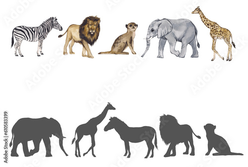 Find correct shadow. Realistic animals of africa. Educational game for children. Activity  watercolor illustration. Montessori materials  developing activities for children.
