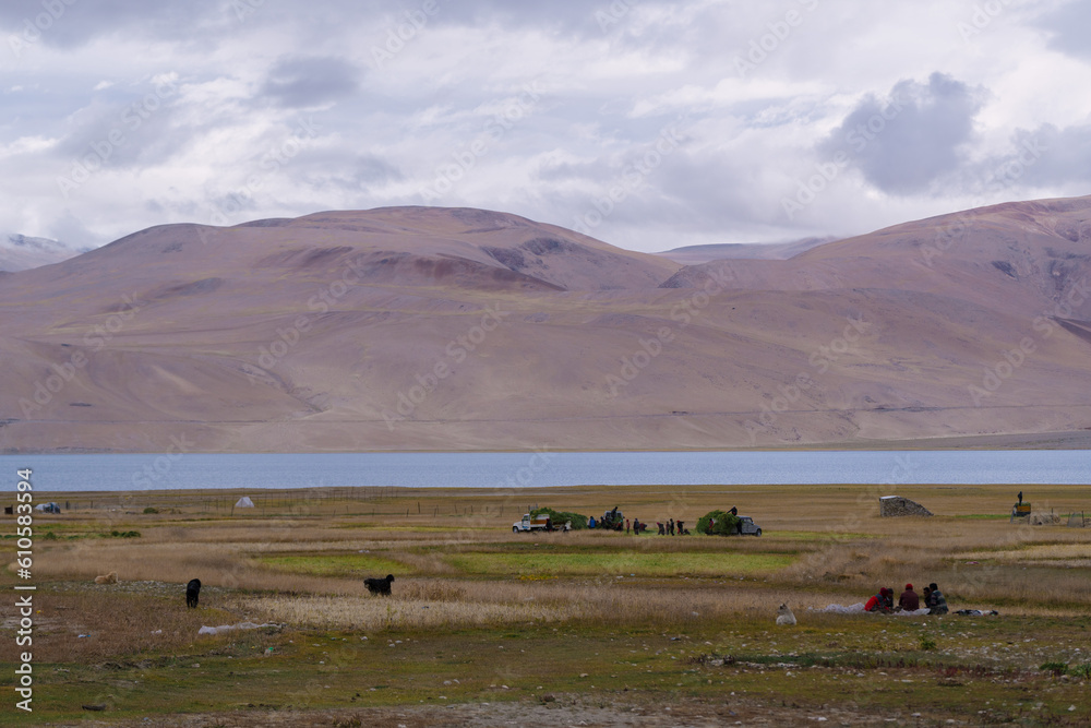 Obraz premium grasslands, Lake Moriri, mountains, cloudy sky. Beautiful scenery at the mountain lake, Ladakh, India