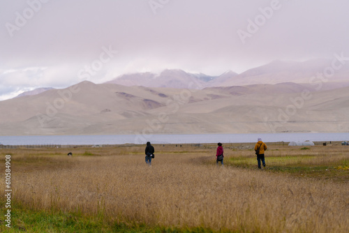 farmer is harvesting grass, grass to feed cattle in winter at Moriri lake, Ladakh, India