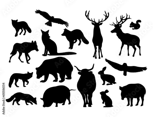 Collection silhouettes forest wild animals  predators and birds. Vector illustration. Isolated hand drawn black drawings of animals on white background.