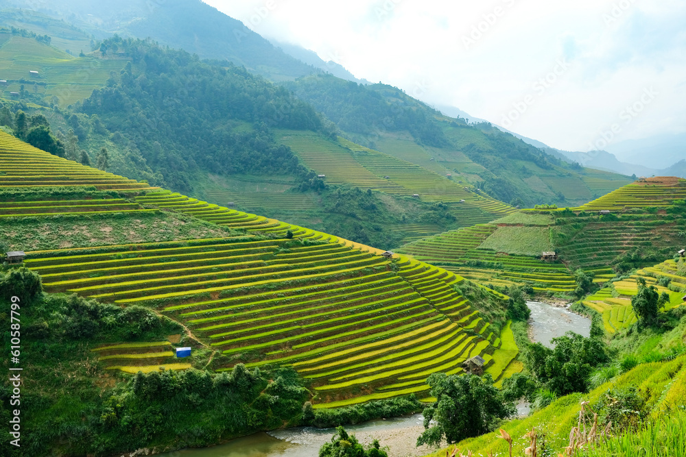 terraced rice fields terraced rice fields
