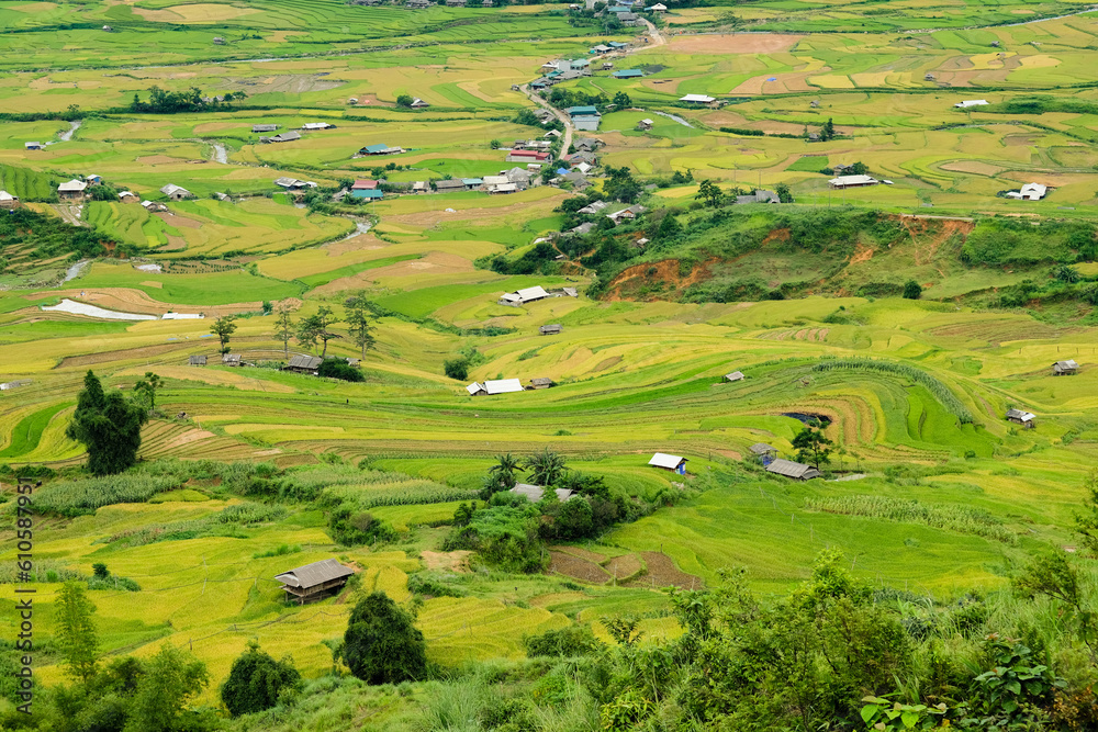 Obraz premium terraced rice fields