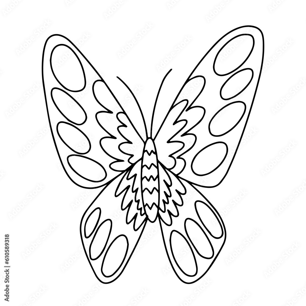Vector cabbage butterfly coloring page. Hand drawn butterfly sketch on