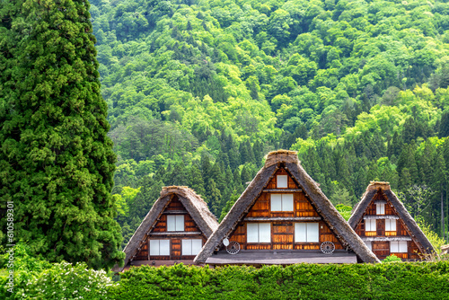 Historical Japanese Village. Shirakawa-go, Ono District, Gifu Prefecture, Japan