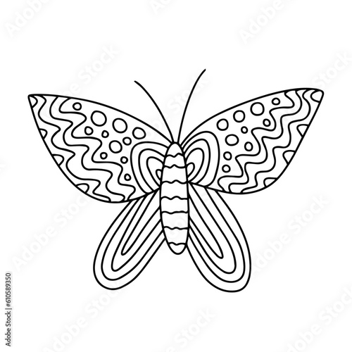 Vector green underside blue butterfly coloring page