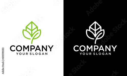 Green house vector logo template. Vegan symbol, eco logo. Leaf and natural logo concept.