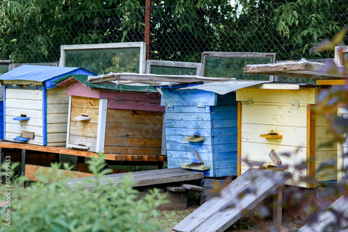 Hives in the apiary with bees flying to the landing sites, Frames of the bee hive. The beekeeper inspects the hive, the beekeeper collects honey. Colorful hives of bees in the meadow. Wooden beehives 