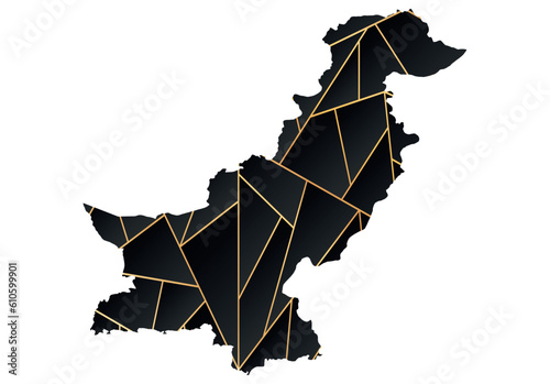 vector illustration of black and gold colored Pakistan map	