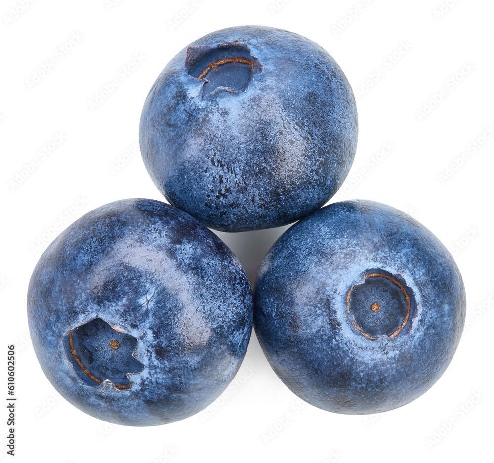 Obraz premium Blueberry Isolated with clipping path