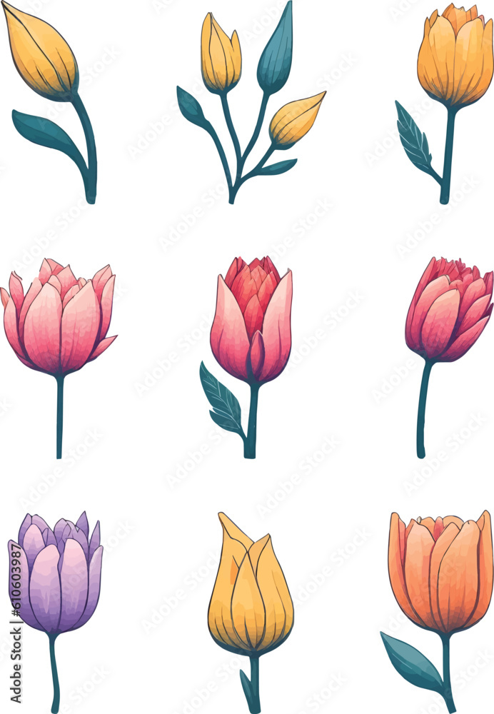 Fototapeta premium Tulip Flower Set, Watercolor Flower Vector Design Set