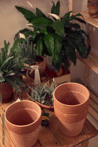 Houseplants and clay pots ready for new plants at home.
