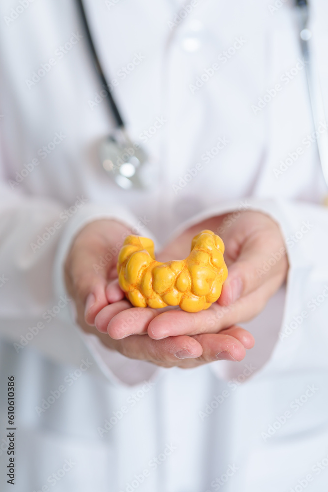 Doctor with human Thyroid anatomy model. Hyperthyroidism, Hypothyroidism, Hashimoto Thyroiditis, Thyroid Tumor and Cancer, Postpartum, Papillary Carcinoma and Health concept Doctor with human Thyroid anatomy model. Hyperthyroidism, Hypothyroidism, Hashimoto Thyroiditis, Thyroid Tumor and Cancer, Postpartum, Papillary Carcinoma and Health concept