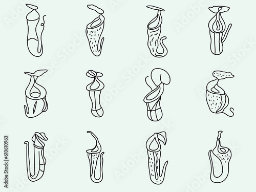 set of Carnivorous plants, nepenthes plants outline icon doodle vector on white background photo