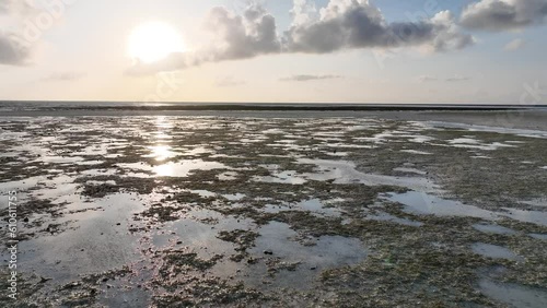 Wallpaper Mural Tropical Beach At Sunrise During Low Tide With Coral Reefs Revealed. drone shot Torontodigital.ca