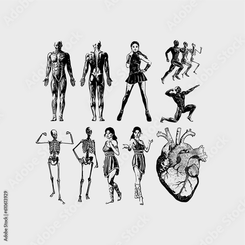 Vector Human Silhouettes, Skeleton, heart, grunge, anti-design, streetwear, woman, girls, people asset pack, isolated graphic set, illustration