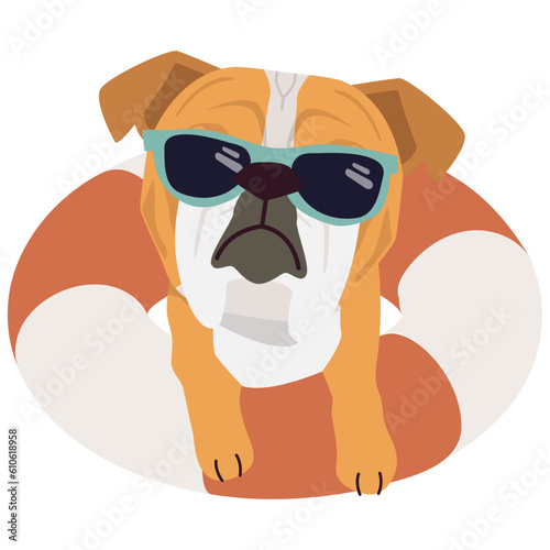 Happy Bull dog with sunglasses and floating ring, air mattress for summer