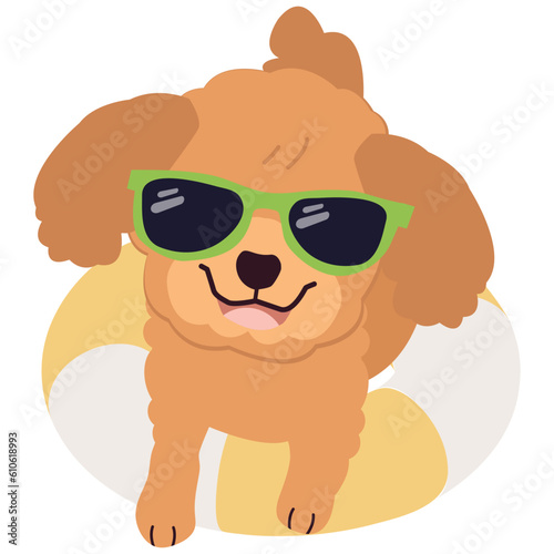 Happy Poodle dog with sunglasses and floating ring, air mattress for summer