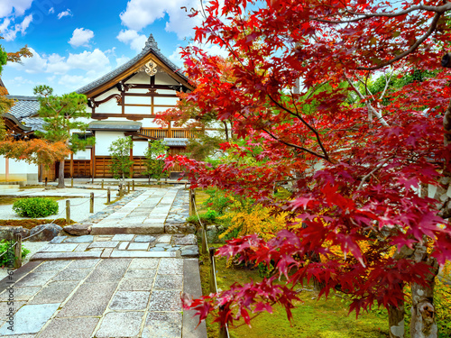 Canvas Print Temples of Japan