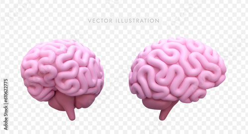 3d realistic model of brain in different positions. Emblem for medical school. Brain examinations concept. Colorful vector illustration in cartoon style