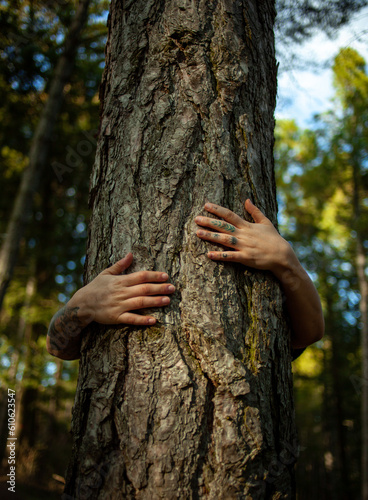 person hugging a tree