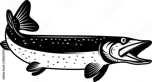 Illustration of pike fish in monochrome style. Pike fish isolated on white background
