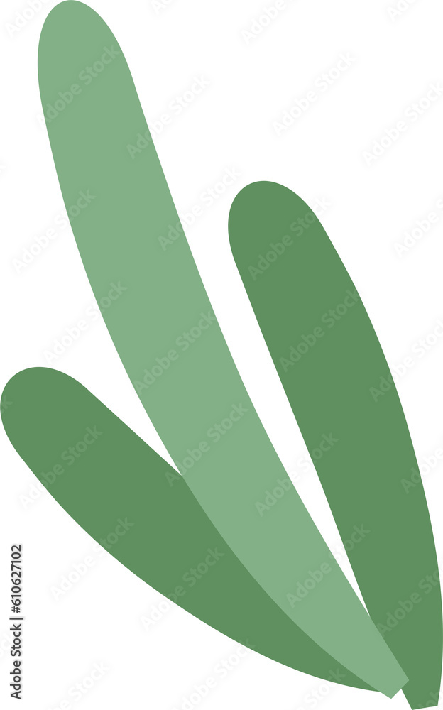 plant leaves 111 plant leaves 111