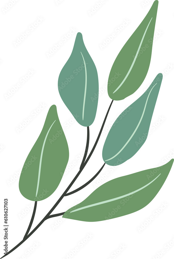 plant leaves 104