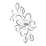 Flowers and leaves outline for print. Bouquet of hand-drawn spring flowers and plants