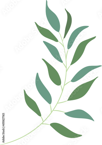 plant leaves 90