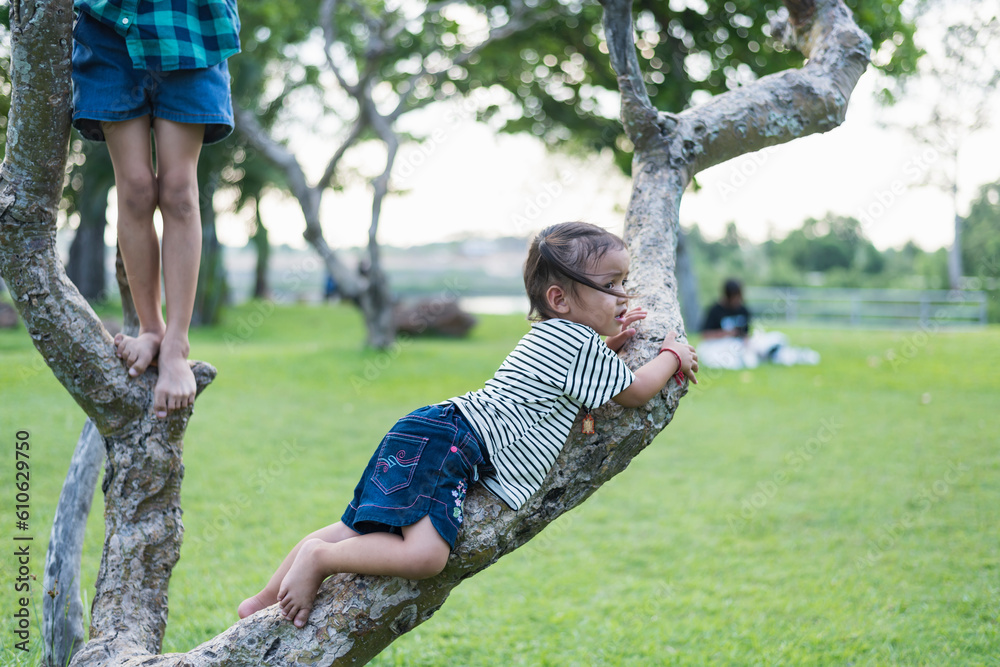 Child girl playing climbing on a tree in a summer park outdoor. Concept of healthy play and development of the child in nature