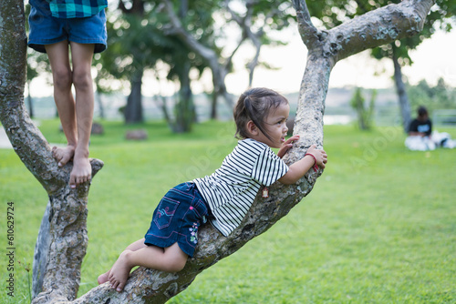 Child girl playing climbing on a tree in a summer park outdoor. Concept of healthy play and development of the child in nature © Subhakitnibhat