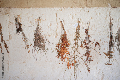 collection of medicinal herbs is dried on a rope in the monastery Illa del Rei