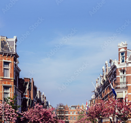 Springtime in the Hague, Netherlands with traditional Dutch houses on a upmarket street photo