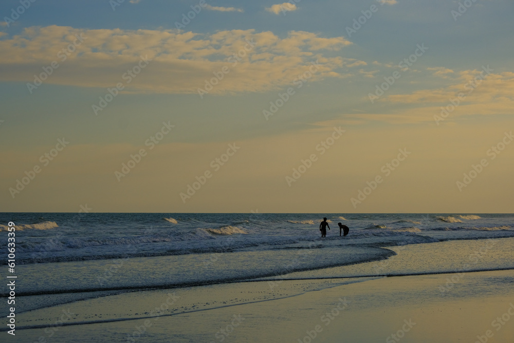 sea beach wave serenity nature scence morning time