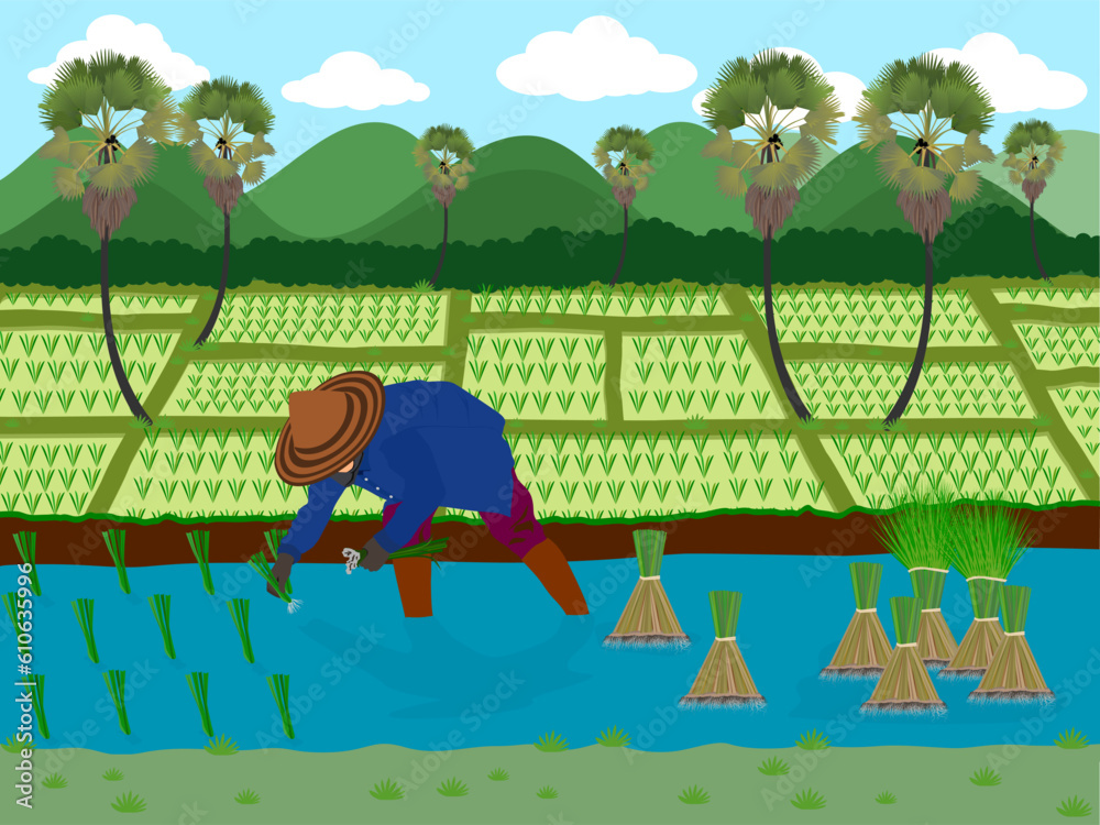 Obraz premium Green nature landscape with Paddy jasmine rice field in thailand.