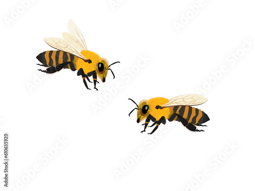 Bees are classified as insects.