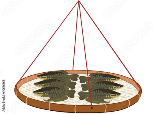 Dried fish on a white background.