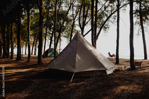 Camping tent on beach in pine forest nature landscape