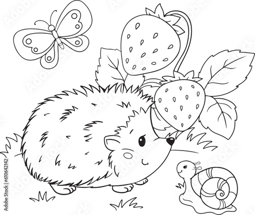 cute illustration of hedgehog and snail with strawberries for children coloring book