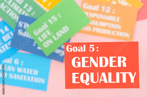 The Goal 5 : Gender Equality. The SDGs 17 development goals environment. Environment Development concepts.