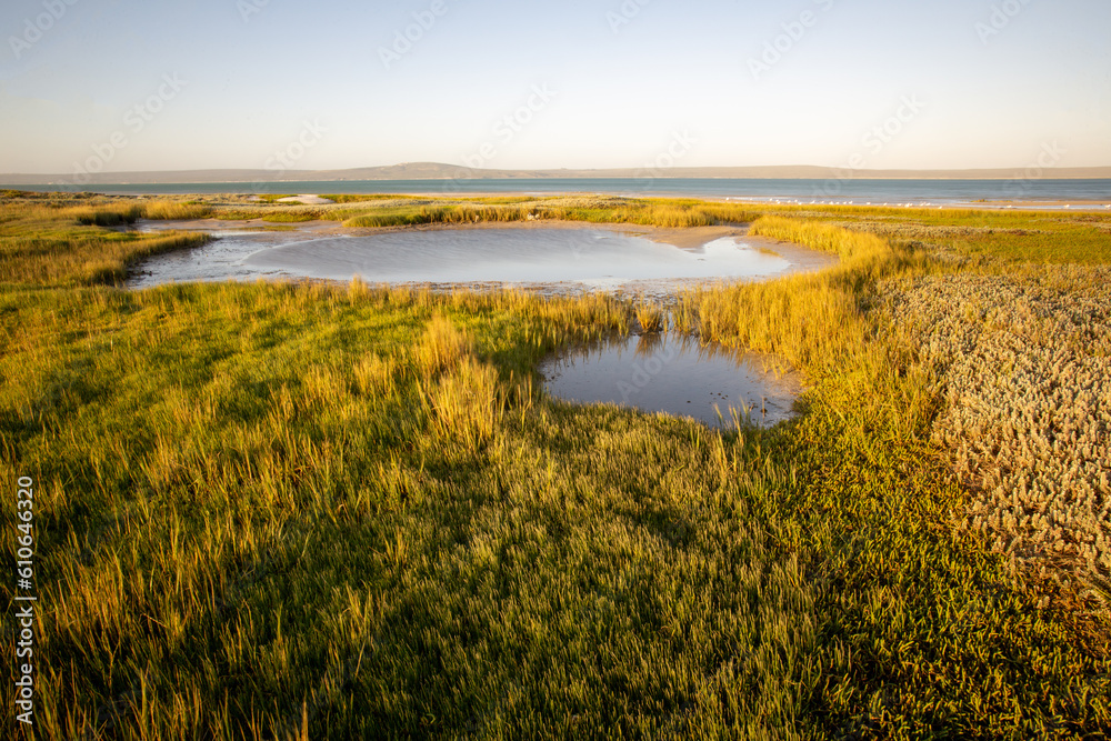 Fototapeta premium Salt marshes